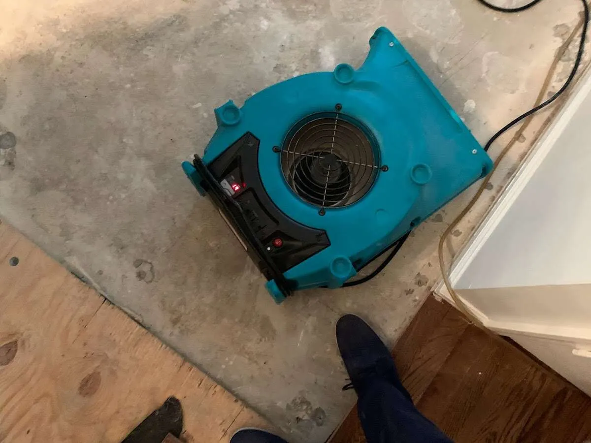 Air mover drying subfloor during Commercial Water Damage Restoration in Brier